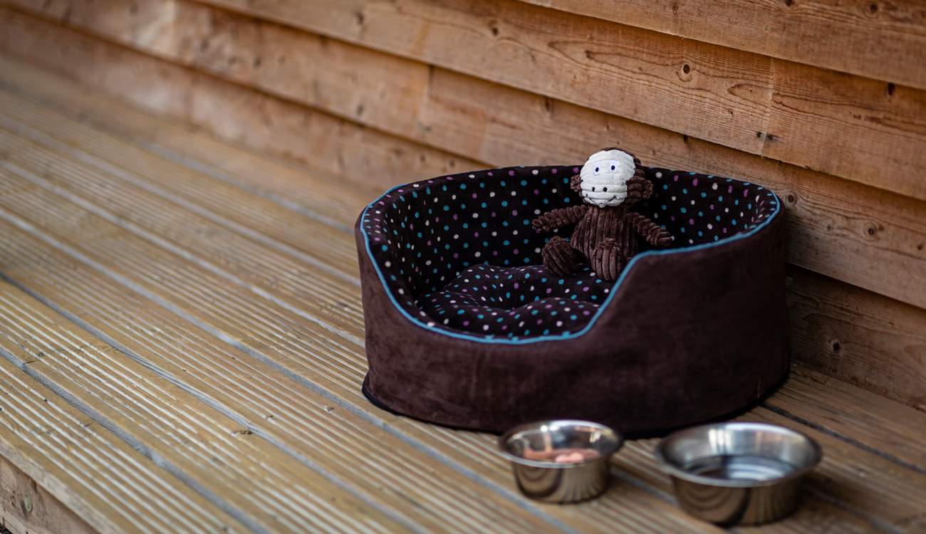 A cosy bed for the dog.