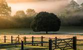 Wonderful Sussex countryside views. - Thumbnail Image