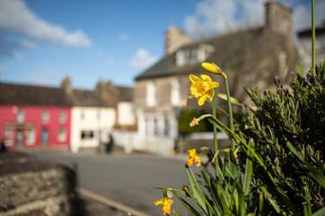 Beautiful spring day in St David's.