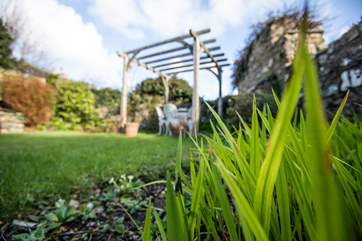 The enclosed garden, perfect for your four-legged friend.