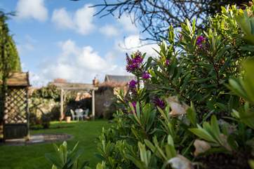 Relax in the beautiful gardens at Menai House.