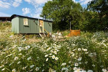 Pretty wildflowers surround this rural haven.