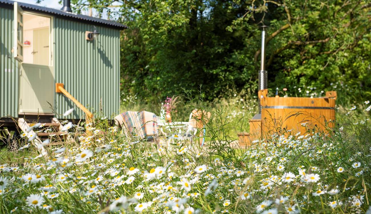 Rural bliss...