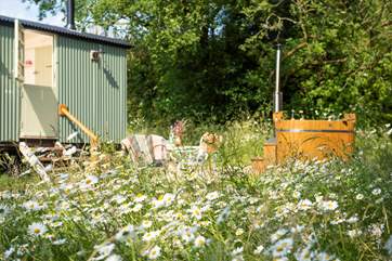 Rural bliss...