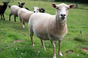 One of your neighbours.