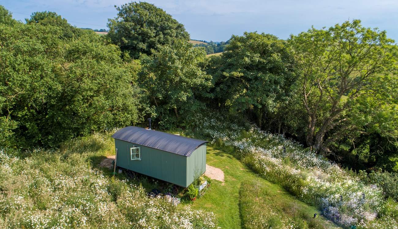 Quietly nestled in nature's paradise.