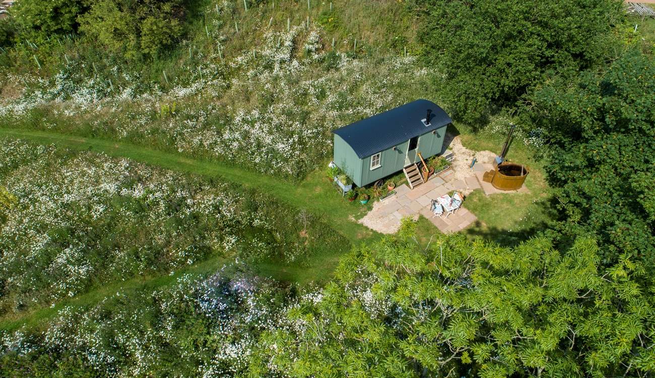 Sitting pretty in its own wildflower meadow.