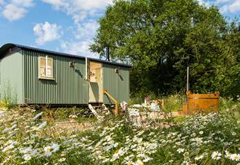 Welcome to Rosie's Hut... 