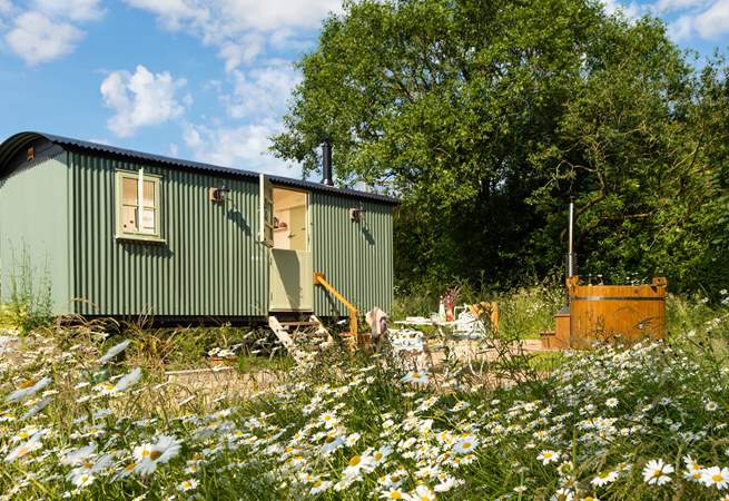 Welcome to Rosie's Hut... 