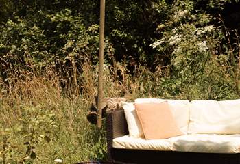 The perfect spot to curl up with a good book.