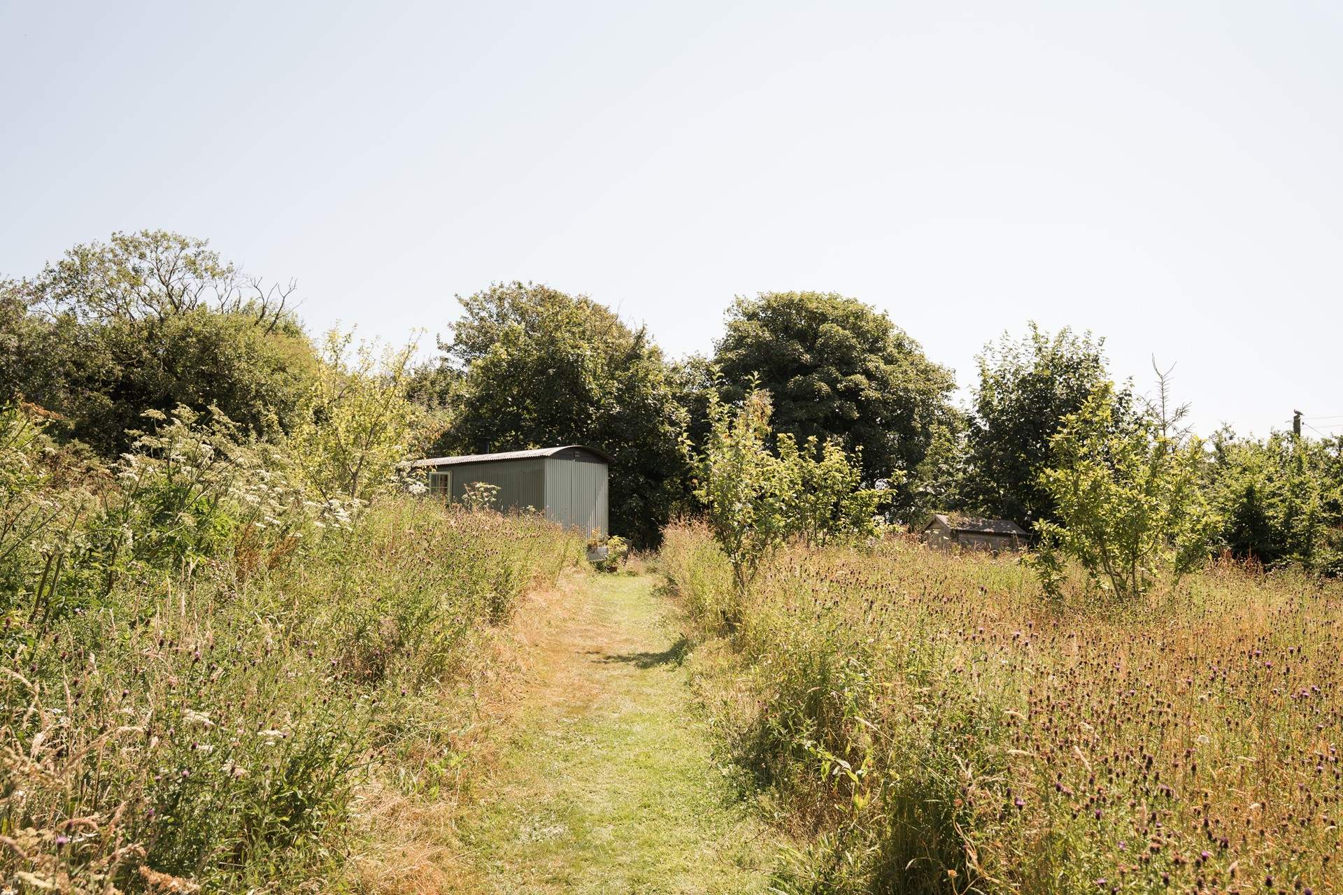 Follow the wildflower-lined path to your heavenly hideaway. 