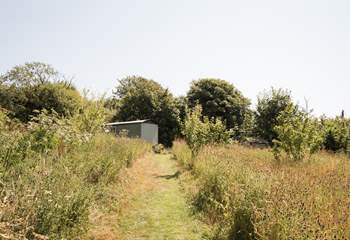 Follow the wildflower-lined path to your heavenly hideaway. 