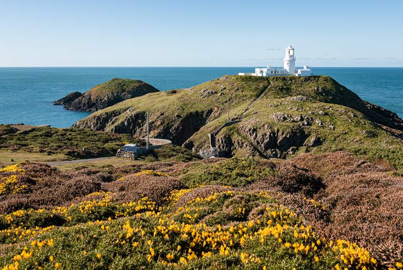 Strumble Head is the perfect place to explore for gorgeous pictures that'll make the best of us jealous. 