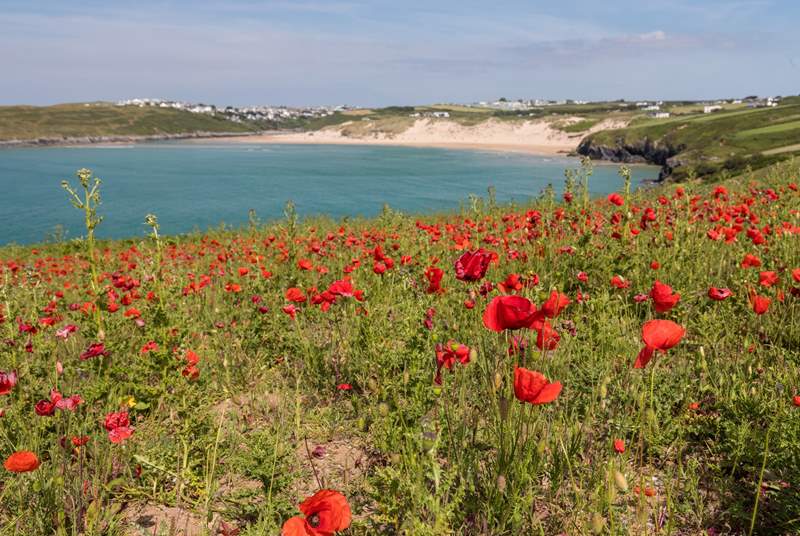 Take a stroll along the coast path taking in the gorgeous scenery as you go.