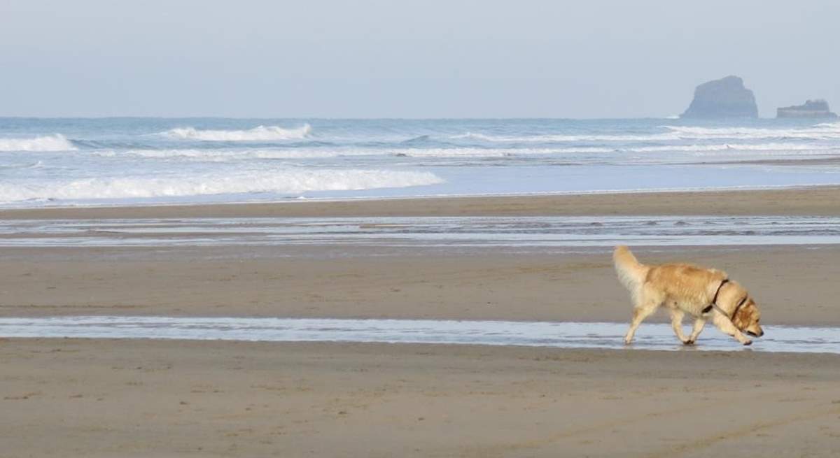 Stargazy is dog-friendly - so your four-legged friend is most welcome too.