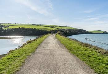 Feeling energetic? The Camel Trail is a short drive away. Hire bikes and cycle from Wadebridge to Padstow, stopping along the way for a pasty and cream tea! 