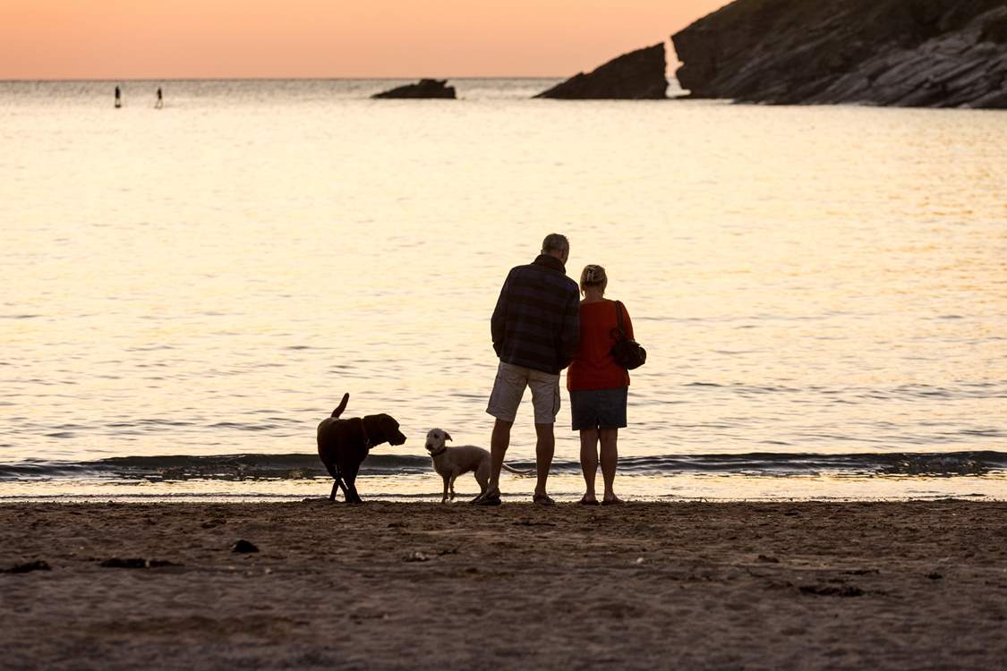 The Newstead is dog-friendly - so feel free to bring along your four-legged friend.