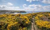 The north coast has a beautiful coast path waiting to be discovered.  - Thumbnail Image