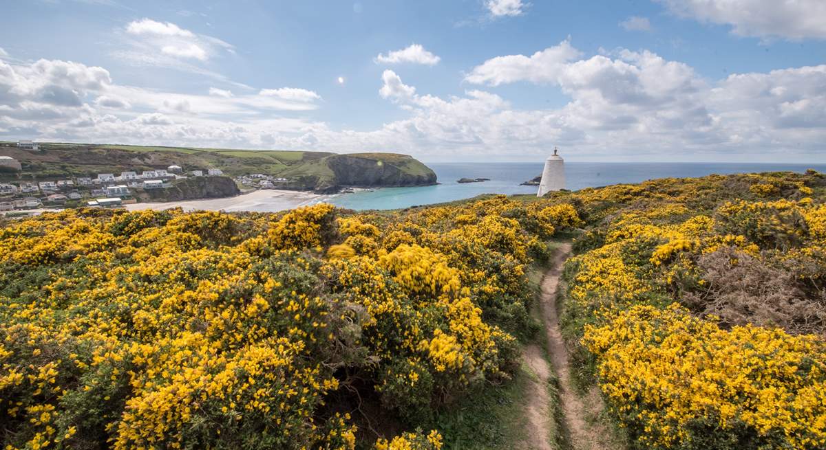 The north coast has a beautiful coast path waiting to be discovered. 