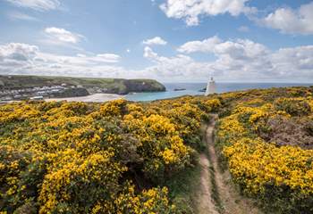 The north coast has a beautiful coast path waiting to be discovered. 