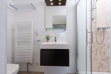 This is its shower-room - there is a step up into the en suite.
