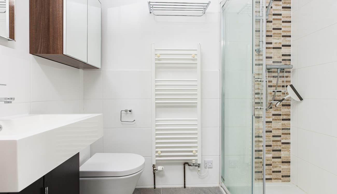 This is its shower-room - there is a step up into the en suite.