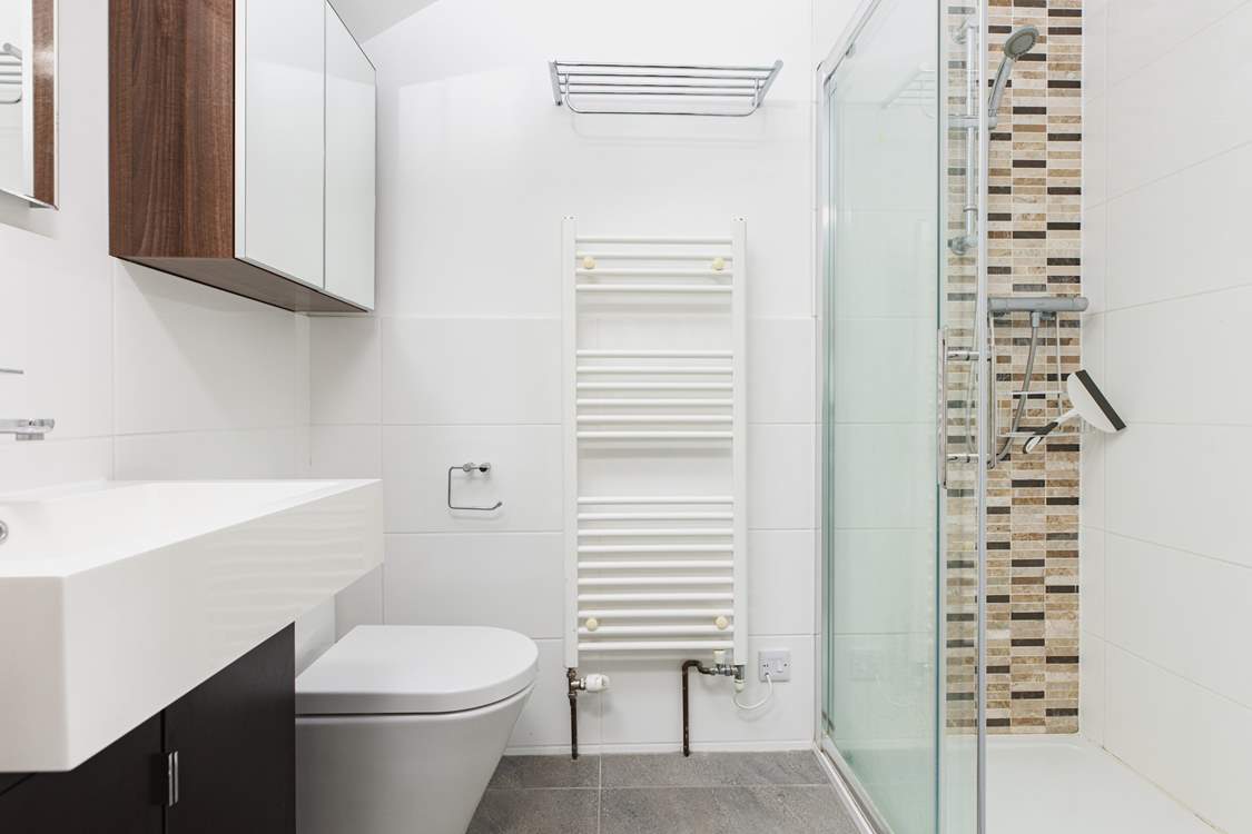 This is its shower-room - there is a step up into the en suite.