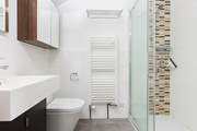 This is its shower-room - there is a step up into the en suite.