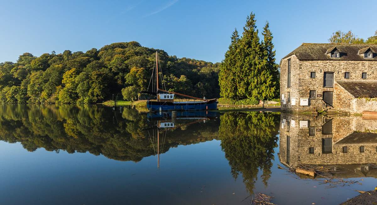 Head to Cotehele an atmospheric Tudor house with Medieval roots, a mill on a historic quay, a glorious garden with valley views and an expansive estate to explore