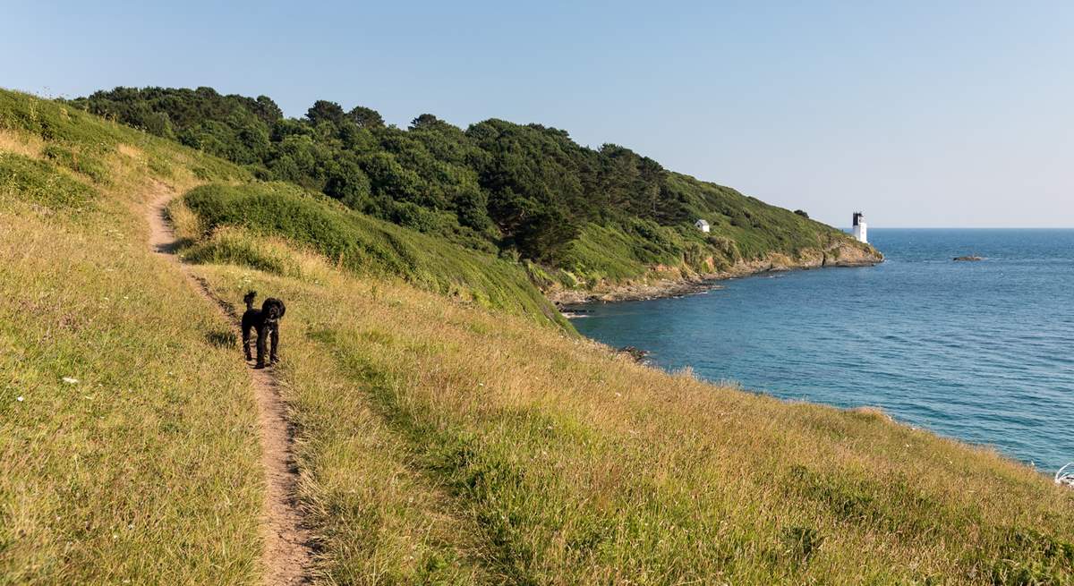 The Roseland is easily accessible via the King Harry Ferry, and there are many stunning walks. 