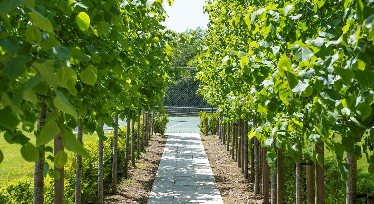 Head down the tree-lined avenue and find the tennis court. 