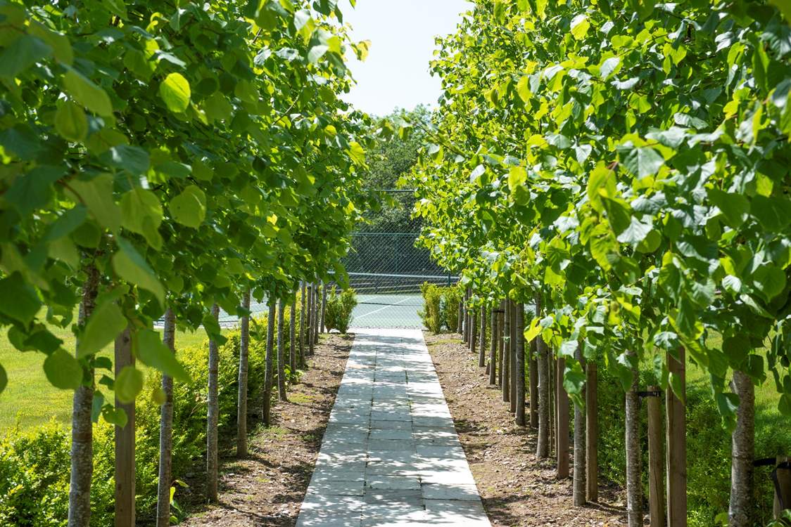 Head down the tree-lined avenue and find the tennis court.