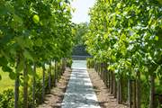 Head down the tree-lined avenue and find the tennis court.