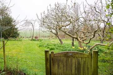 Garden leads onto the orchard/meadow with views out towards Berwick Church.