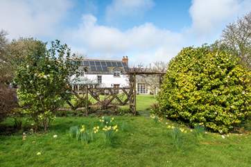 This large garden is perfect to explore with your four legged friends.