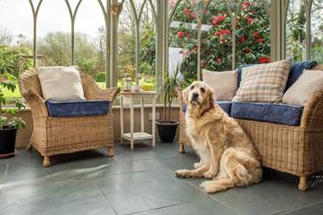 The perfect sunny spot.