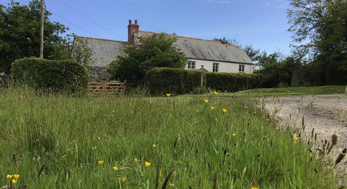 Traboe Cottage is surrounded by verdant countryside. 