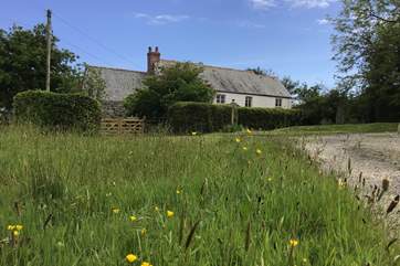 Traboe Cottage is surrounded by verdant countryside.