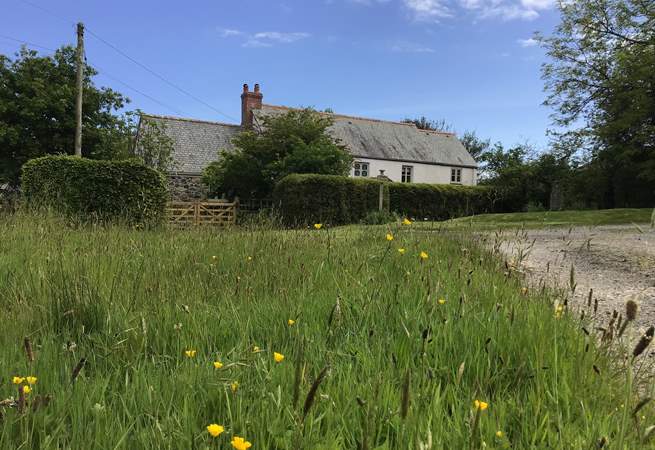 Traboe Cottage is surrounded by verdant countryside. 