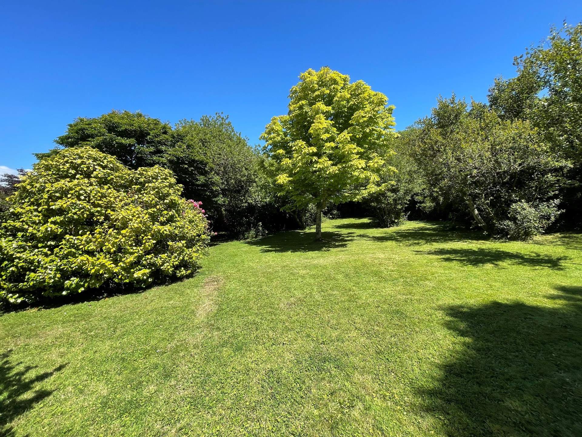 The gorgeous garden.