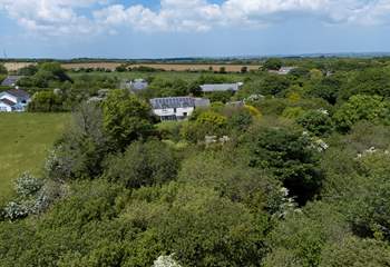 Traboe Cottage features a stunning mature garden, abundant shrubs, trees and foliage.