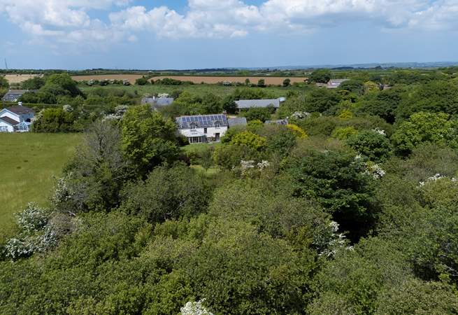 Traboe Cottage features a stunning mature garden, abundant shrubs, trees and foliage.