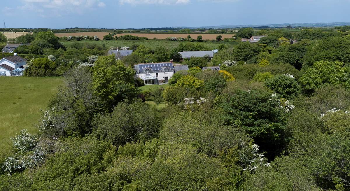 Traboe Cottage features a stunning mature garden, abundant shrubs, trees and foliage.
