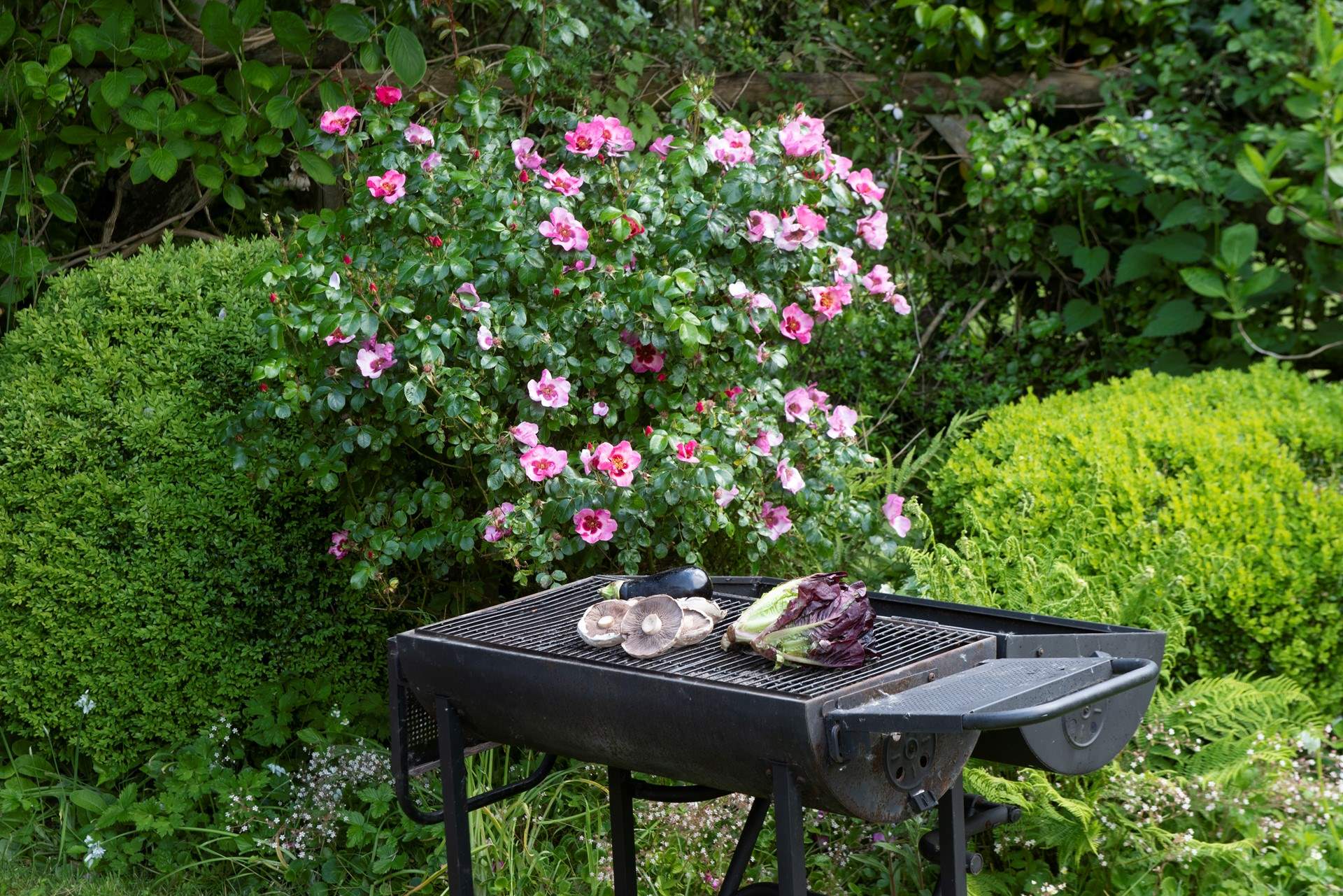 Al fresco supper, yes please!