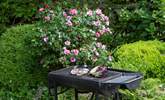 Al fresco supper, yes please! - Thumbnail Image