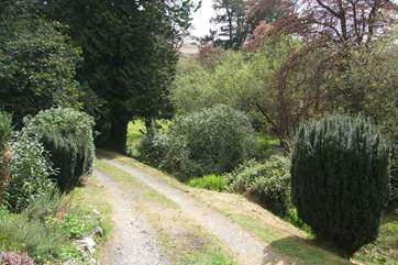 The driveway up to Rossmoyne.