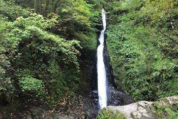 Lydford Gorge is a few minutes' walk from the front door, you can enjoy this wonderful family-friendly walk and you will even see the White Lady waterfall.