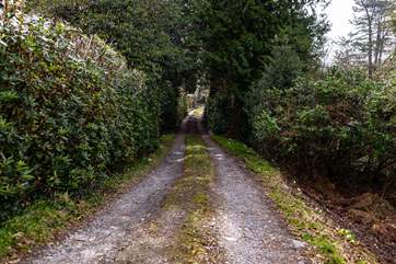 The driveway up to Rossmoyne.