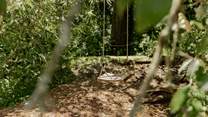 What a charming swing!