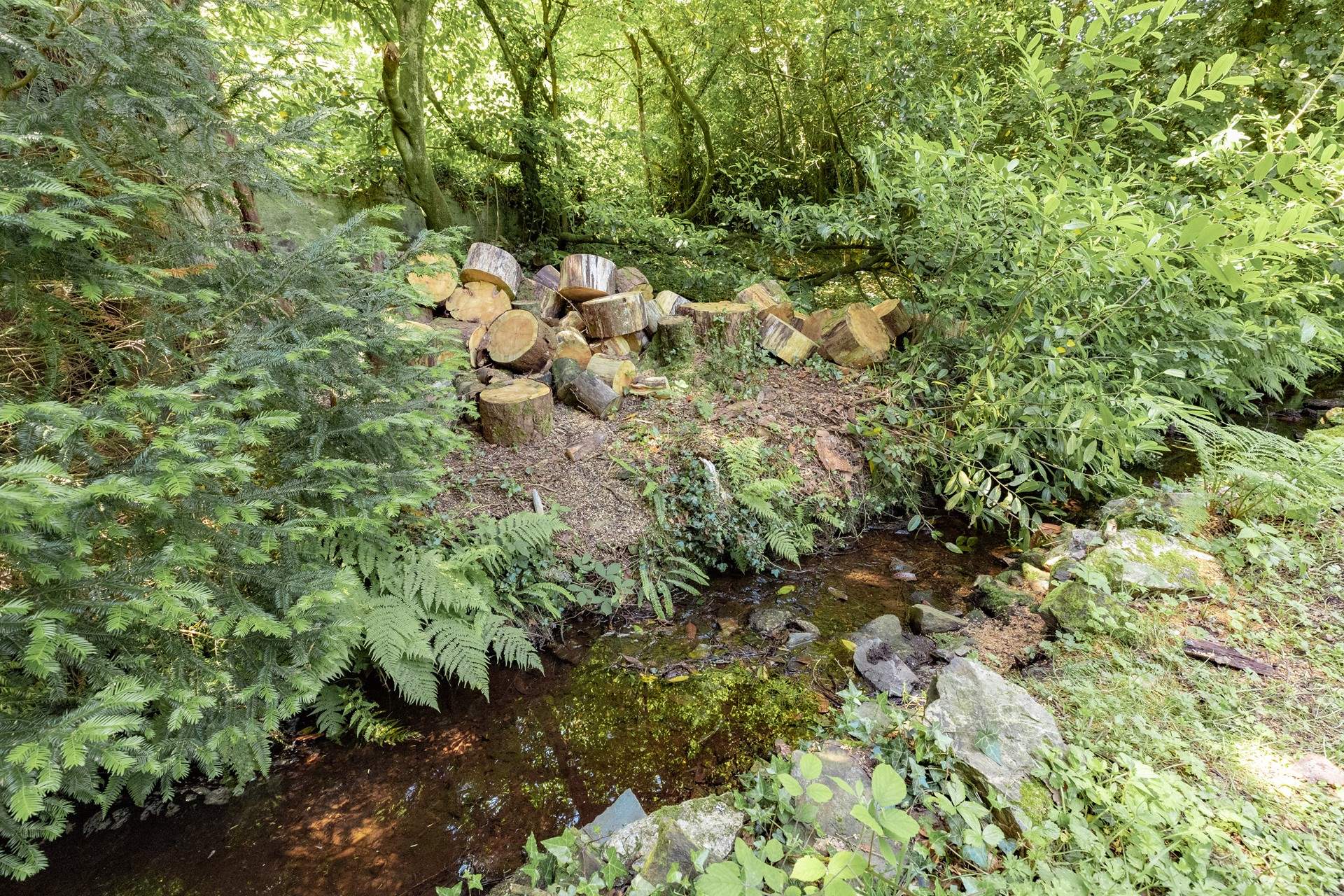 Enjoy hours of child's play in a magical setting with your children. 